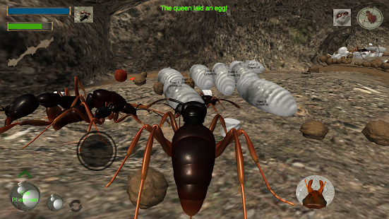 3d蚂蚁模拟器v3.3.4