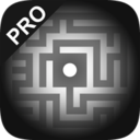 黑白迷宫手机版(休闲益智类游戏) v1.1.1 Android版