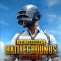 pubg茶茶直装v1.1