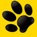 龙猫探员安卓版(美食探店软件) v1.3.1 手机版