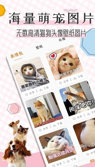 猫语翻译宝软件v1.2.4