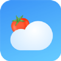 番茄天气v2.1.0