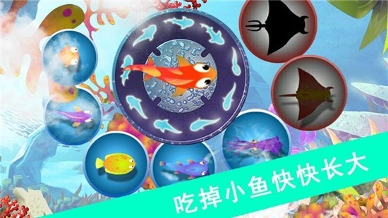 鯊魚風暴遊戲v1.3.5