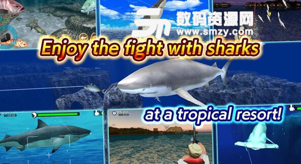 野生鲨鱼捕鱼手机游戏