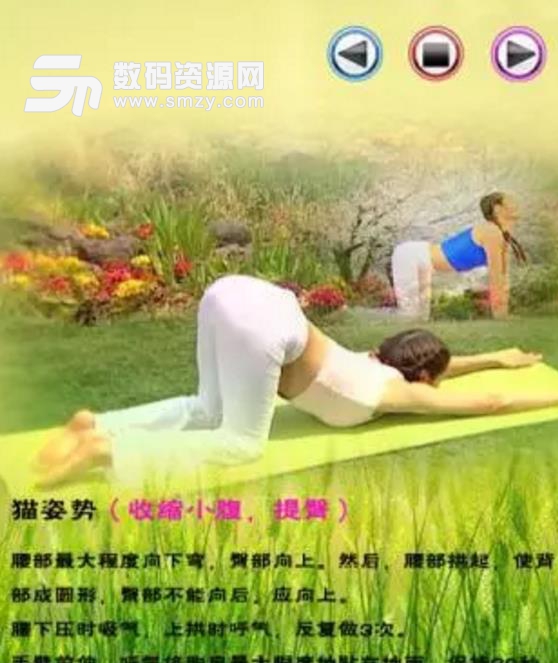 瑜伽七日减肥操安卓免费版图片
