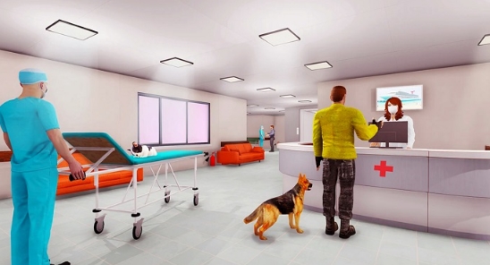模拟动物医院v306.1.0.3018