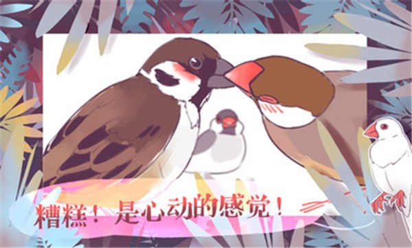 文鳥戀愛物語正版v4.00.00