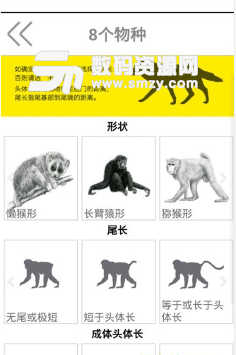 动物识别app手机版界面