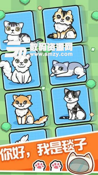 跑跑云养猫手游安卓版