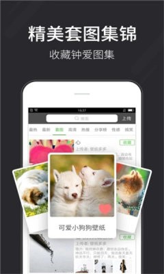 全自动壁纸appv1.1.1