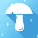 蘑菇天气app手机版(空气质量实时发布) v1.1 安卓版