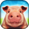 小猪猪模拟器v1.1