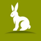 全民养兔免费版(金融理财) v1.4.2 手机版
