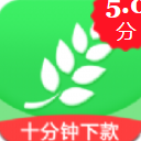 大麦金服app安卓版(靠谱网贷) v1.3.0.1 手机版