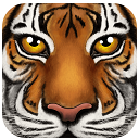 丛林动物模拟器安卓版(10动物可以选择) v1.1 最新免费版