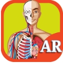 AR人体器官安卓版(医学知识学习助手) v1.4 手机版