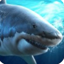 鲨鱼饿了免费手游(逃生街机冒险) v1.2 安卓apk