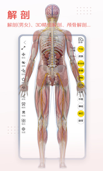 3dbody人体解剖学app免费版8.7.70 安卓最新版