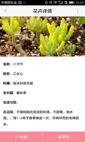 花開了app最新版圖片