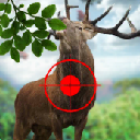 猎人的野生鹿手游安卓版(狩猎类型射击游戏) v1.0 手机最新版