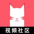 猫咪视频app最新版v1.4.4