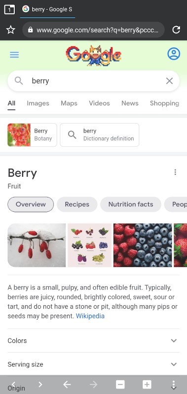 berry浏览器v1.44.90