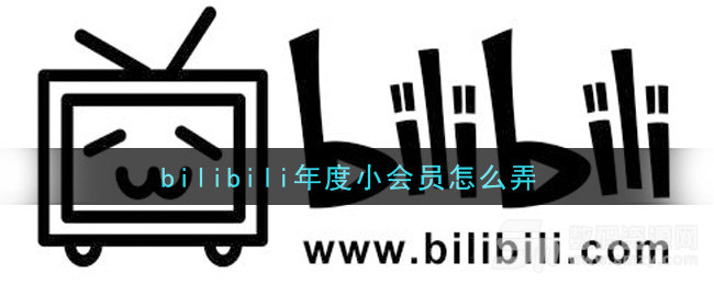 【bilibili年度小会员怎么弄】