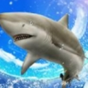野生鲨鱼捕鱼手机游戏(鲨鱼终极生存挑战) v1.2 安卓版