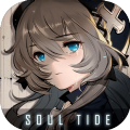 soul tide国际服v6.42.2