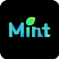MintAIv1.4.9