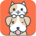 问宠医安卓版(宠物健康) v1.1 Android版