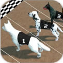 疯狂的赛狗Android版(Crazy Dog Racing) v2.2.6 官方版