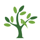 呼唤森林app(公益植树平台) v1.2.0 安卓手机版