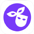 面具奇缘appv1.1