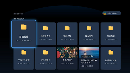 海康智存TV版v1.4.0