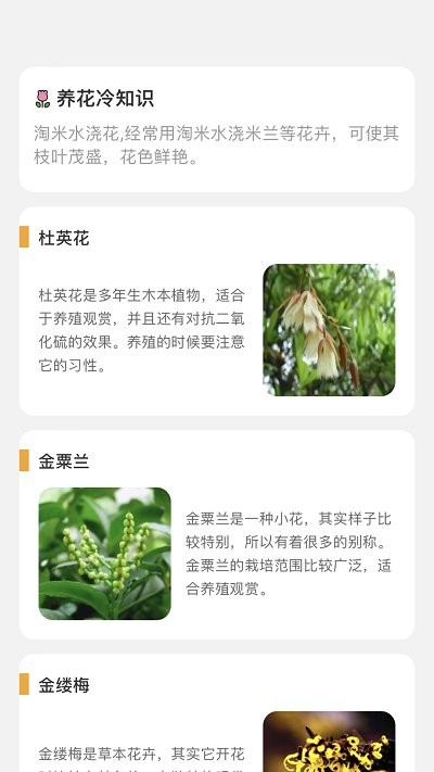 百花悦看v2.1.1