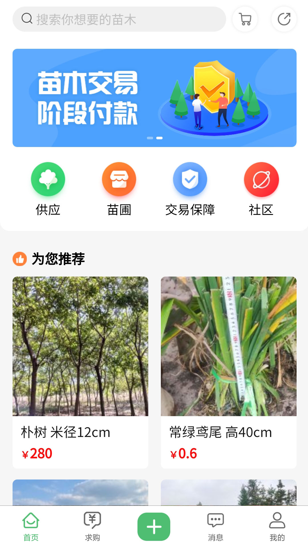 苗青青app1.7.2