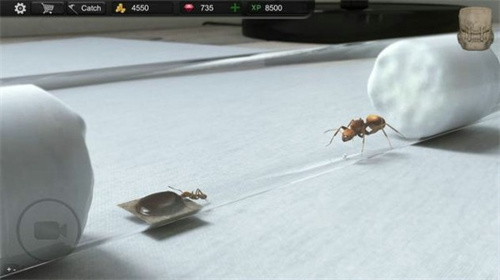 蚂蚁模拟大亨v2.6