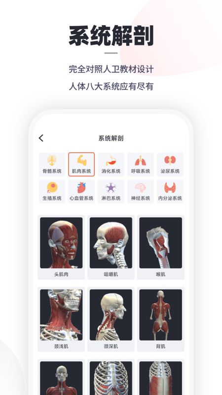 口袋解剖app2.2.0