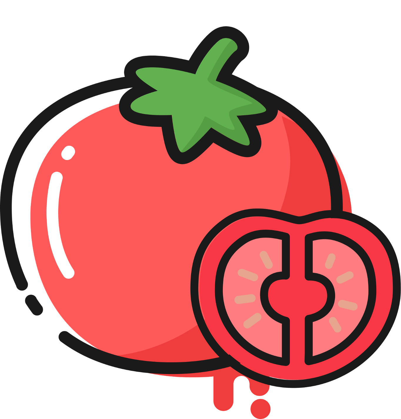 番茄轻断食手机版v1.0.2