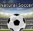 自然足球赛最新版(Natural Soccer) v1.5.7 安卓版