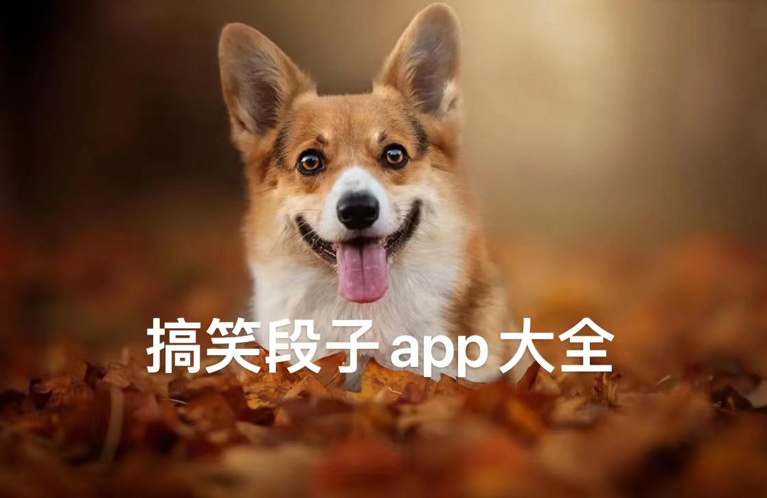 搞笑段子app大全