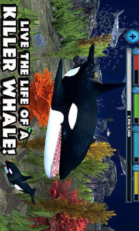 虎鲸模拟3D安卓版介绍