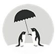 未雨天气安卓版(手机天气预报软件) v1.2 Android版