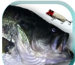 鱼饵垂钓安卓版(模拟钓鱼手游) v2.8.1 手机版