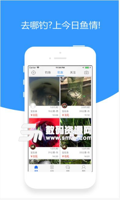今日鱼情app下载