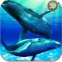 鲸鲨模拟器中文内购版(和鲸鱼共同生存) v1.4.0 安卓手机版