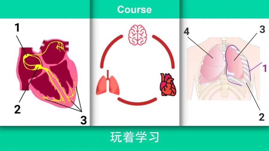 现实医疗模拟器v47