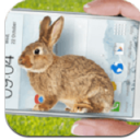 兔子先生安卓版(手机外卖app) v3.5 手机版