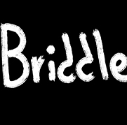Briddle游戏